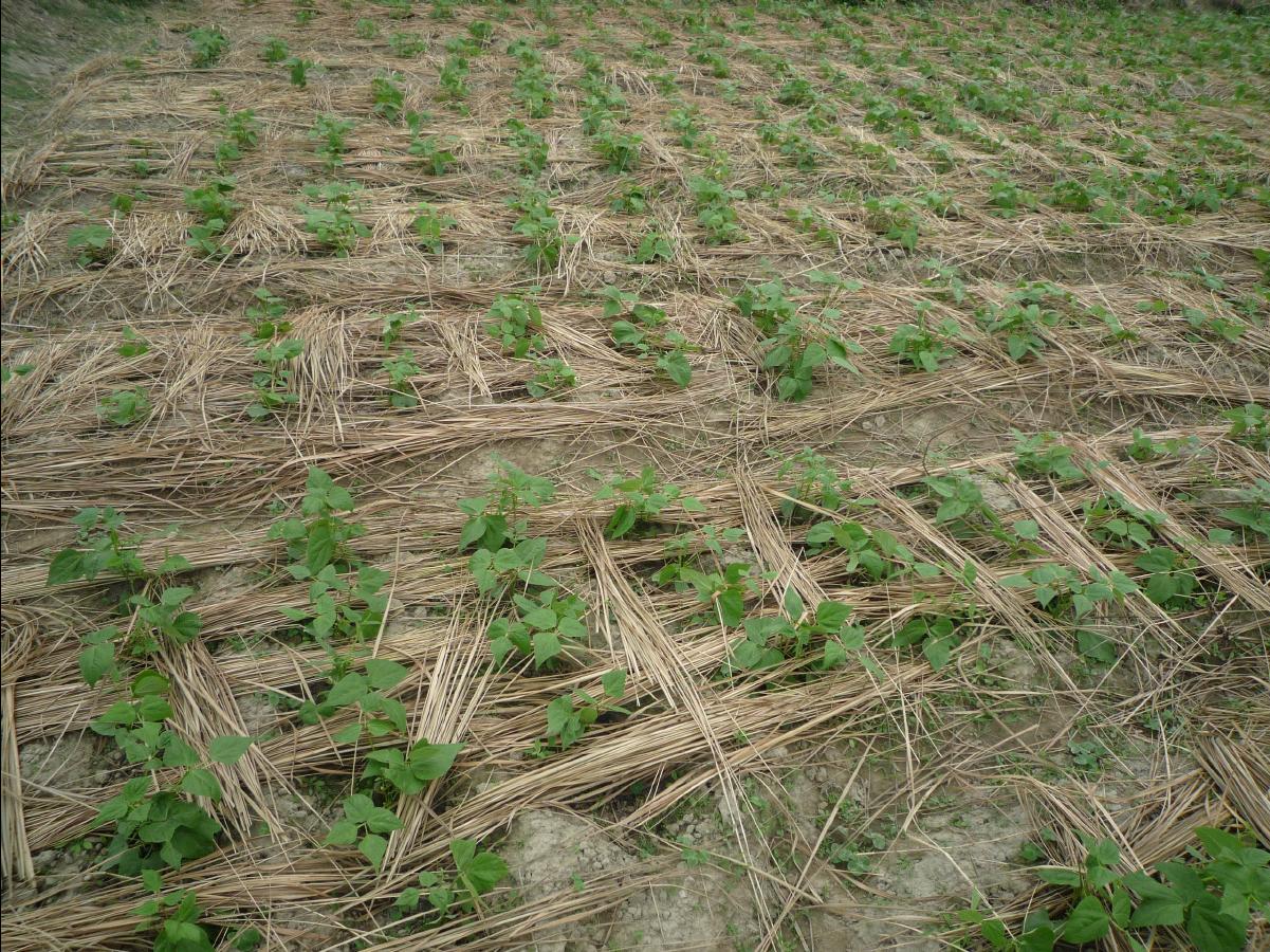20101127 THE Organic Farm58